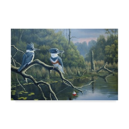 Wilhelm Goebel 'Luck Belted Kingfishers' Canvas Art,30x47